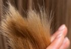 Wann wächst das Haar am stärksten?