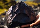 Wie sind die Zukunftsaussichten für Shilajit?