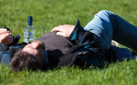 Waarom geven alcoholisten de voorkeur aan wodka?