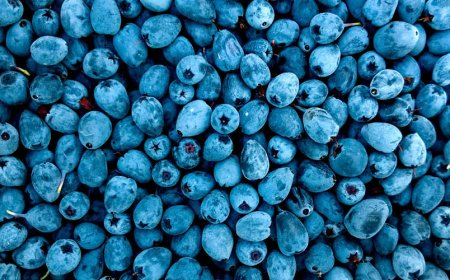 Quali sono i 12 alimenti che dovrei mangiare ogni giorno?