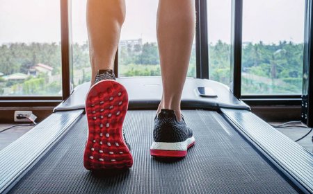 Quali sono i 7 concetti di fitness?