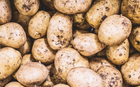 Wat is het 30 dagen aardappeldieet?