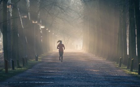 Wat is de Grote 3 in Fitness?