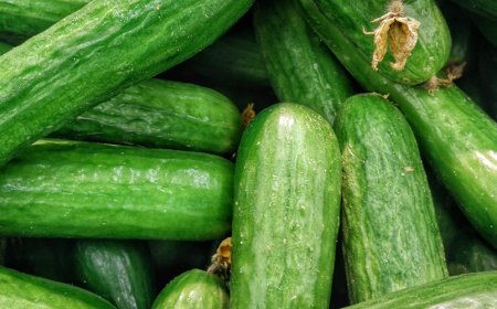 Quali sono gli snack più sani da mangiare?