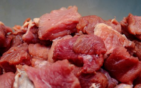 Wat is het beste en slechtste vlees om te eten?