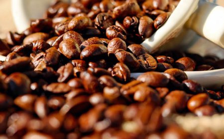 Il caffè è un super alimento?