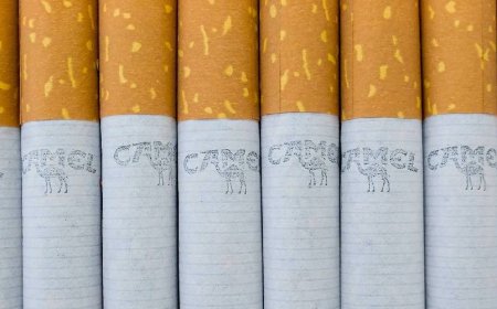 Hoe beïnvloedt tabak de hersenen?