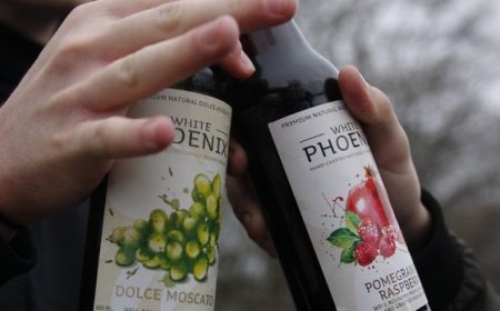 Hoe gewoon is het om alcoholist te zijn?