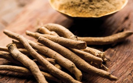 Cosa fa l'ashwagandha per i maschi?