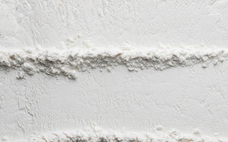 Il magnesio bisglicinato attraversa la barriera ematoencefalica?