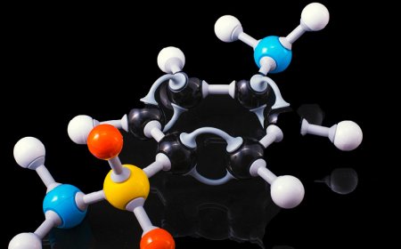 CoQ10 und die Gesundheit der Prostata