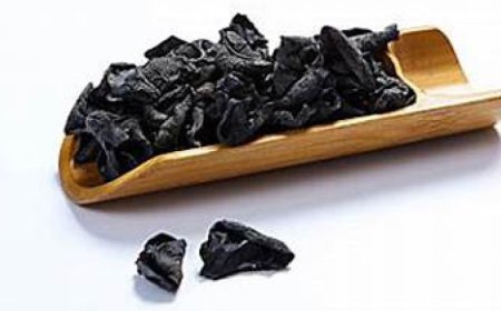 Lo Shilajit può migliorare la funzione cognitiva?