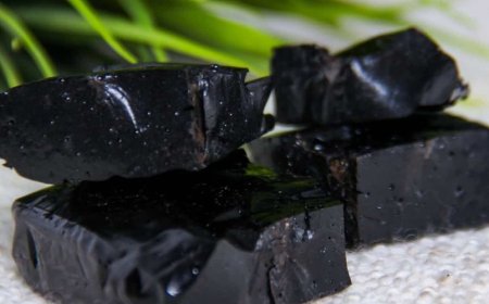 Lo Shilajit può proteggere il cuore?
