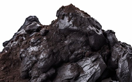Lo Shilajit aumenta la concentrazione e la memoria?