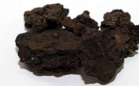 Lo Shilajit disintossica il corpo?