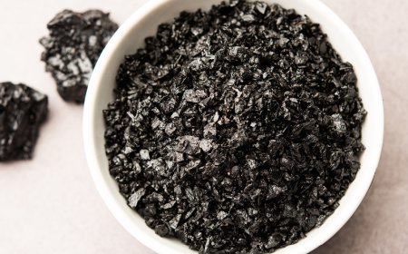 Come influisce lo Shilajit sui reni?