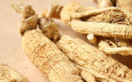 Kann Cordyceps die Müdigkeit lindern?