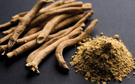 Zügelt Ashwagandha den Appetit?