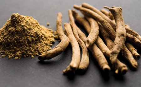 Ab wann sollte ich die Wirkung von Ashwagandha spüren?