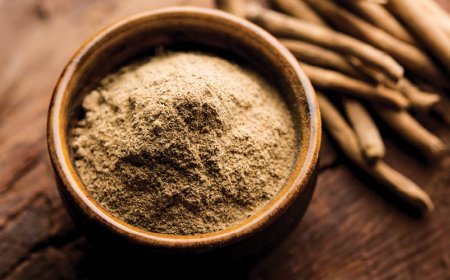 Welches Ashwagandha ist das beste Mittel gegen Angstzustände?