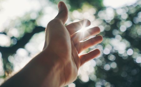 Quali sono i benefici della vitamina D3?