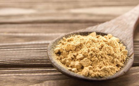 Wofür ist Ashwagandha gut?