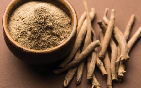 Erhöht Ashwagandha das Testosteron bei Frauen?