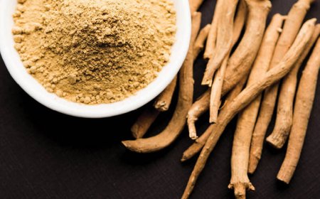 Erhöht Ashwagandha das Östrogen?