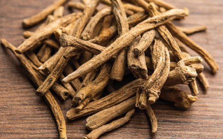 Cosa succede quando si assume l'ashwagandha quotidianamente?