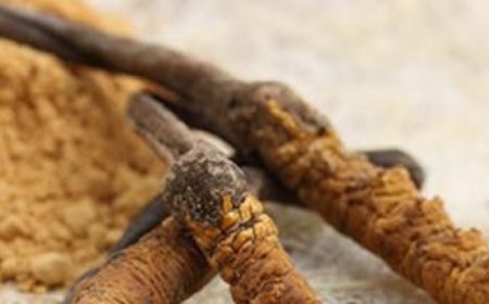 Kann Cordyceps das metabolische Syndrom verhindern?