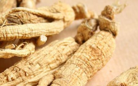 Kann Cordyceps Neuronenschäden verhindern?