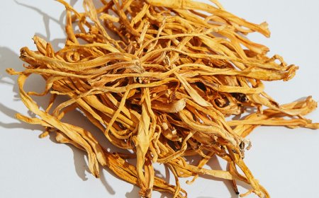 Kann Cordyceps erektile Dysfunktion behandeln?