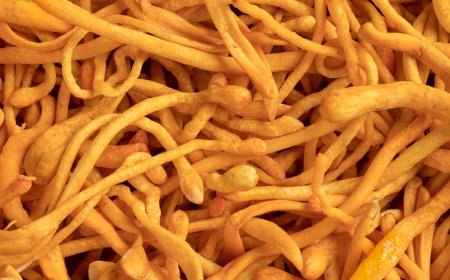 Verbessert Cordyceps Gedächtnis und Konzentration?