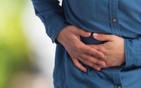 Quali alimenti curano il suo intestino?