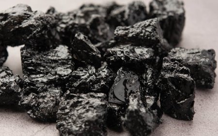 Wie wirkt Shilajit auf den Körper?