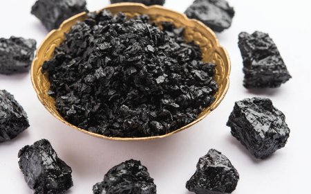 Woraus besteht Shilajit?