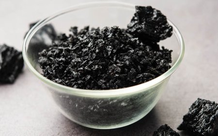 Worauf sollten Sie beim Kauf von Shilajit achten?