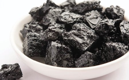 Welche Arten von Shilajit-Ergänzungsmitteln gibt es?