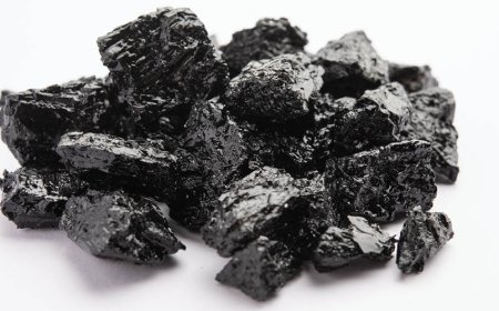 Wo können Sie reines, hochwertiges Shilajit kaufen?