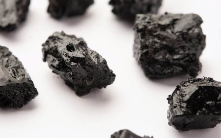 Welche Marke von Shilajit ist die reinste?
