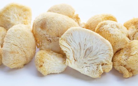Hoe vaak moet u leeuwenmantel innemen?