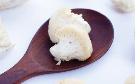 Hoeveel leeuwenmang is veilig om dagelijks te nemen?