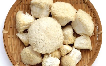 Quanto tempo ci vuole perché le pillole di Lion's Mane facciano effetto?
