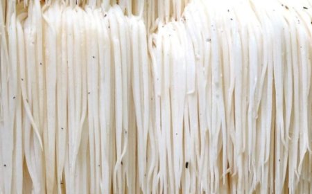 La criniera di leone influisce sulla dopamina?