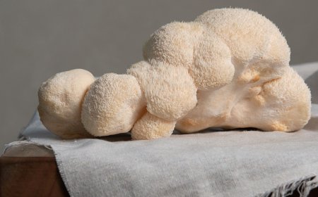 La criniera di leone può causare pressione alta?