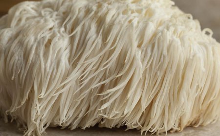 Quali farmaci non devono essere assunti con la Lion's Mane?