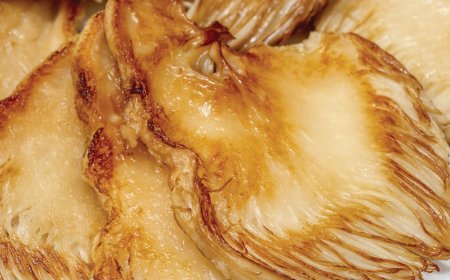 What is lion's mane good for?