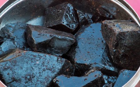 Ist Shilajit sicher für den Langzeitgebrauch?