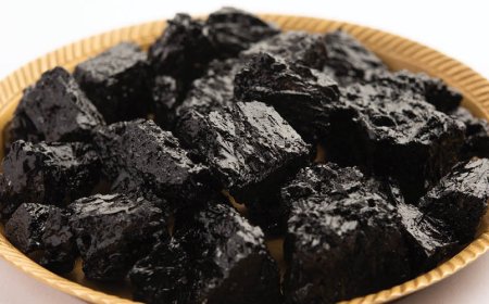 Ist Shilajit-Harz besser als Pulver?