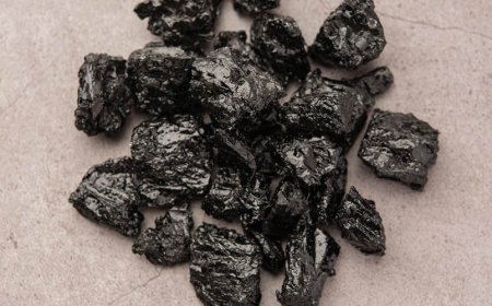 Wird Shilajit von der FDA reguliert?